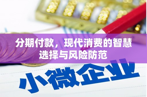 秀英分期付款，现代消费的智慧选择与风险防范