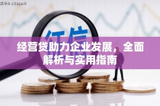 秀英经营贷助力企业发展，全面解析与实用指南