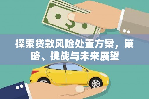 秀英探索贷款风险处置方案，策略、挑战与未来展望