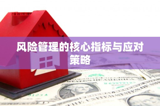 秀英风险管理的核心指标与应对策略