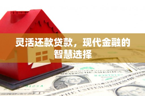 秀英灵活还款贷款，现代金融的智慧选择