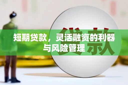 秀英短期贷款，灵活融资的利器与风险管理