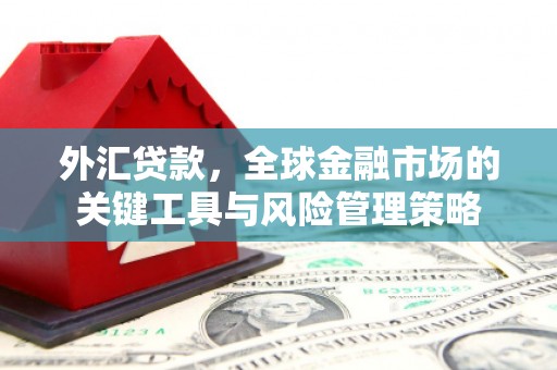 秀英外汇贷款，全球金融市场的关键工具与风险管理策略
