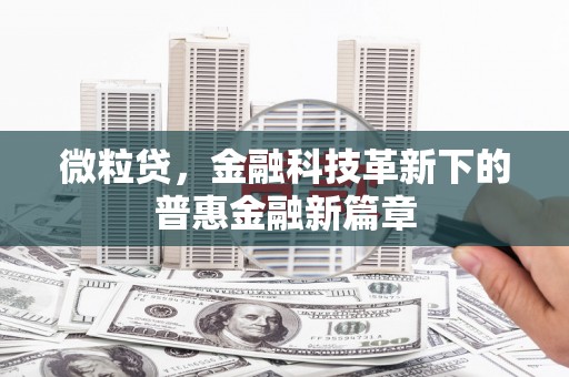 秀英微粒贷，金融科技革新下的普惠金融新篇章