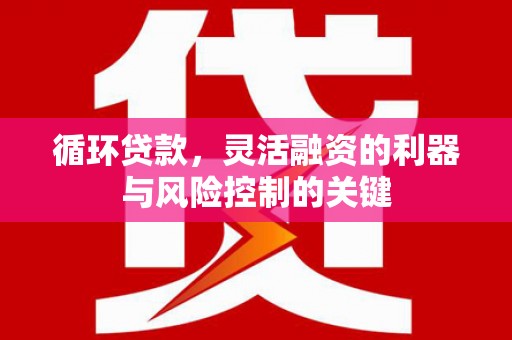 秀英循环贷款，灵活融资的利器与风险控制的关键