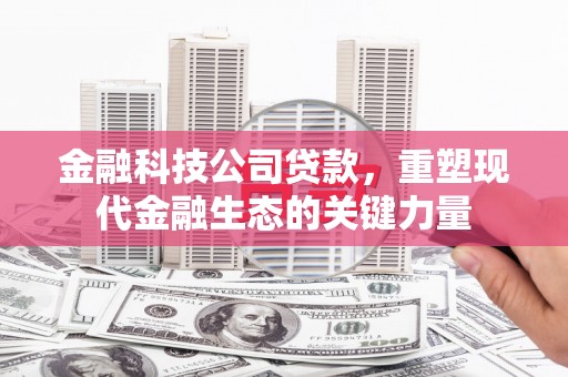 秀英金融科技公司贷款，重塑现代金融生态的关键力量