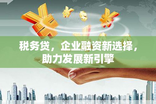 秀英税务贷，企业融资新选择，助力发展新引擎