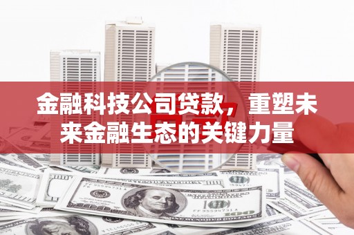 秀英金融科技公司贷款，重塑未来金融生态的关键力量