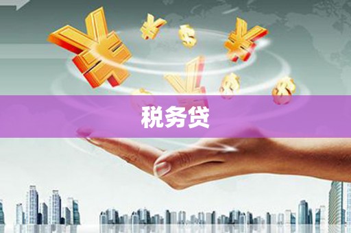 秀英税务贷
