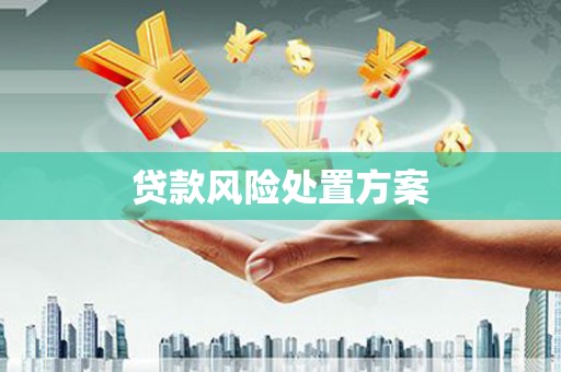秀英贷款风险处置方案