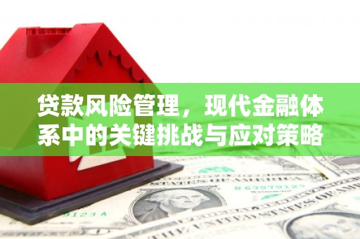 秀英贷款风险管理，现代金融体系中的关键挑战与应对策略