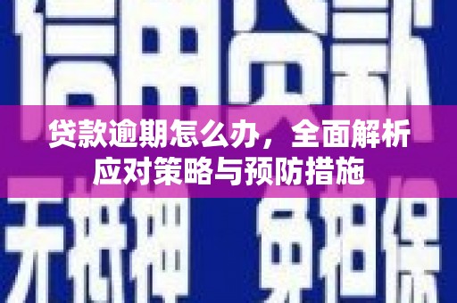 秀英贷款逾期怎么办，全面解析应对策略与预防措施