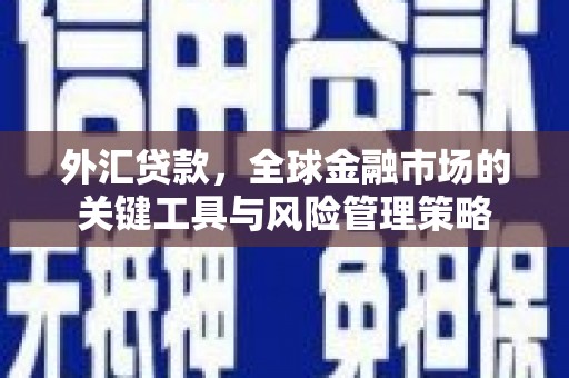 秀英外汇贷款，全球金融市场的关键工具与风险管理策略