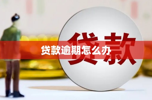 秀英贷款逾期怎么办