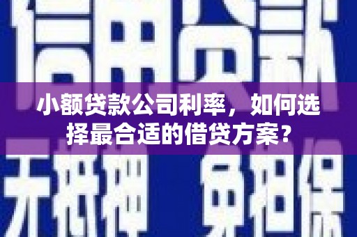 秀英小额贷款公司利率，如何选择最合适的借贷方案？