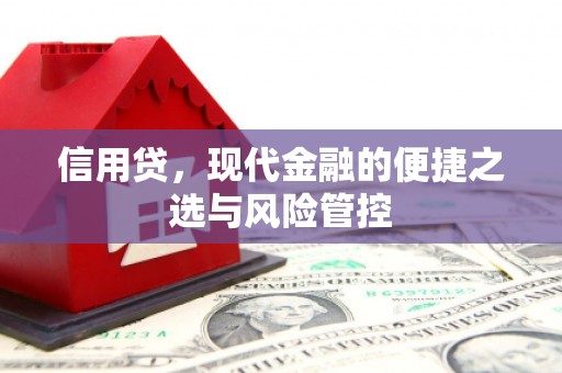 秀英信用贷，现代金融的便捷之选与风险管控