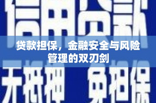 秀英贷款担保，金融安全与风险管理的双刃剑