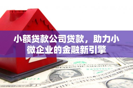 秀英小额贷款公司贷款，助力小微企业的金融新引擎