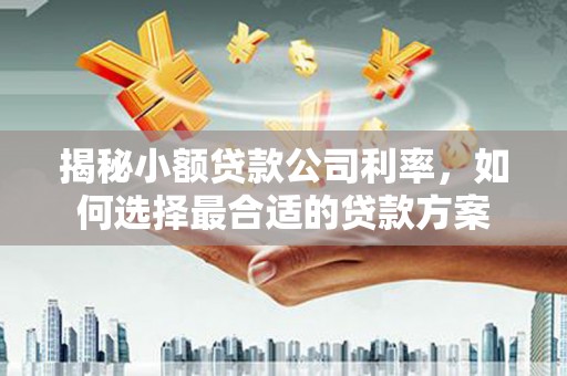 秀英揭秘小额贷款公司利率，如何选择最合适的贷款方案