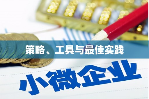 秀英策略、工具与最佳实践
