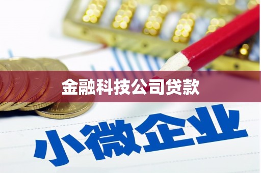 秀英金融科技公司贷款