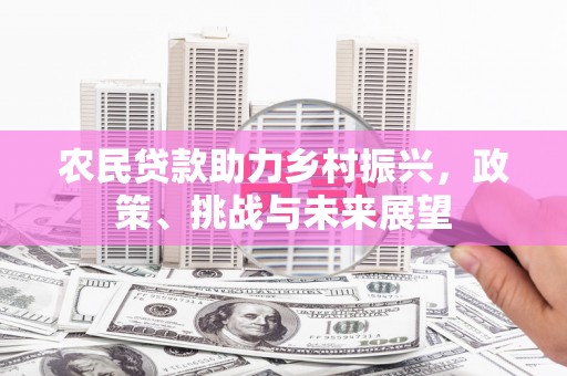 秀英农民贷款助力乡村振兴，政策、挑战与未来展望