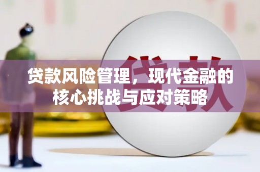 秀英贷款风险管理，现代金融的核心挑战与应对策略