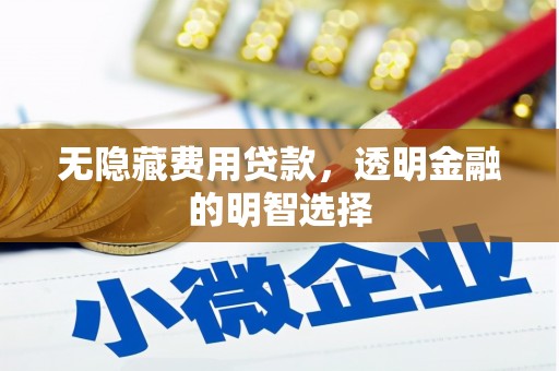 秀英无隐藏费用贷款，透明金融的明智选择