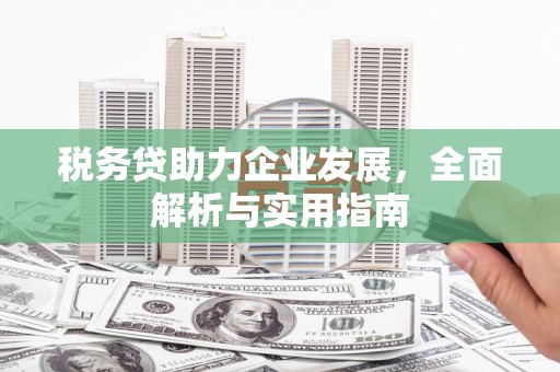 秀英税务贷助力企业发展，全面解析与实用指南