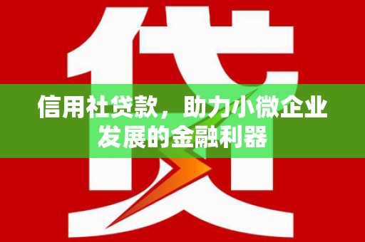 秀英信用社贷款，助力小微企业发展的金融利器