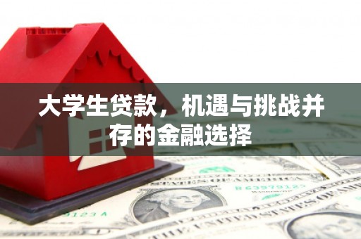秀英大学生贷款，机遇与挑战并存的金融选择