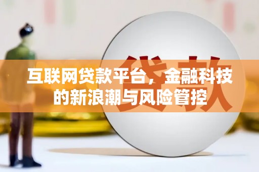 秀英互联网贷款平台，金融科技的新浪潮与风险管控