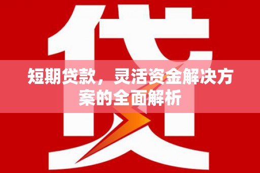秀英短期贷款，灵活资金解决方案的全面解析