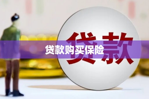 秀英贷款购买保险