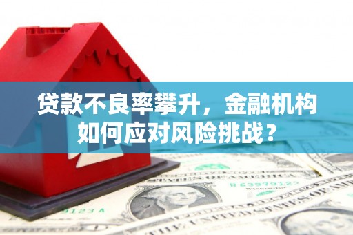 秀英贷款不良率攀升，金融机构如何应对风险挑战？