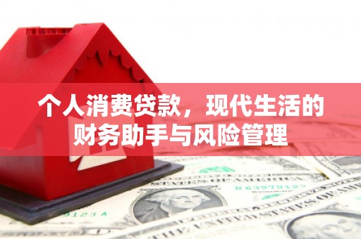 秀英个人消费贷款，现代生活的财务助手与风险管理