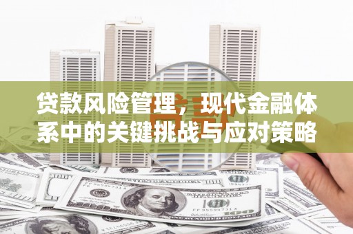 秀英贷款风险管理，现代金融体系中的关键挑战与应对策略
