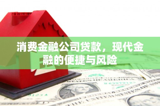 秀英消费金融公司贷款，现代金融的便捷与风险