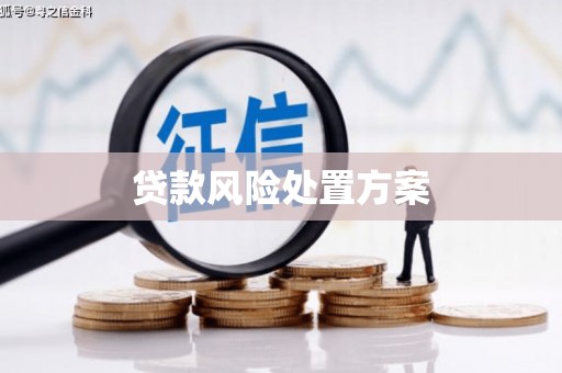秀英贷款风险处置方案