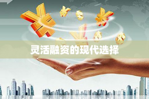 秀英灵活融资的现代选择